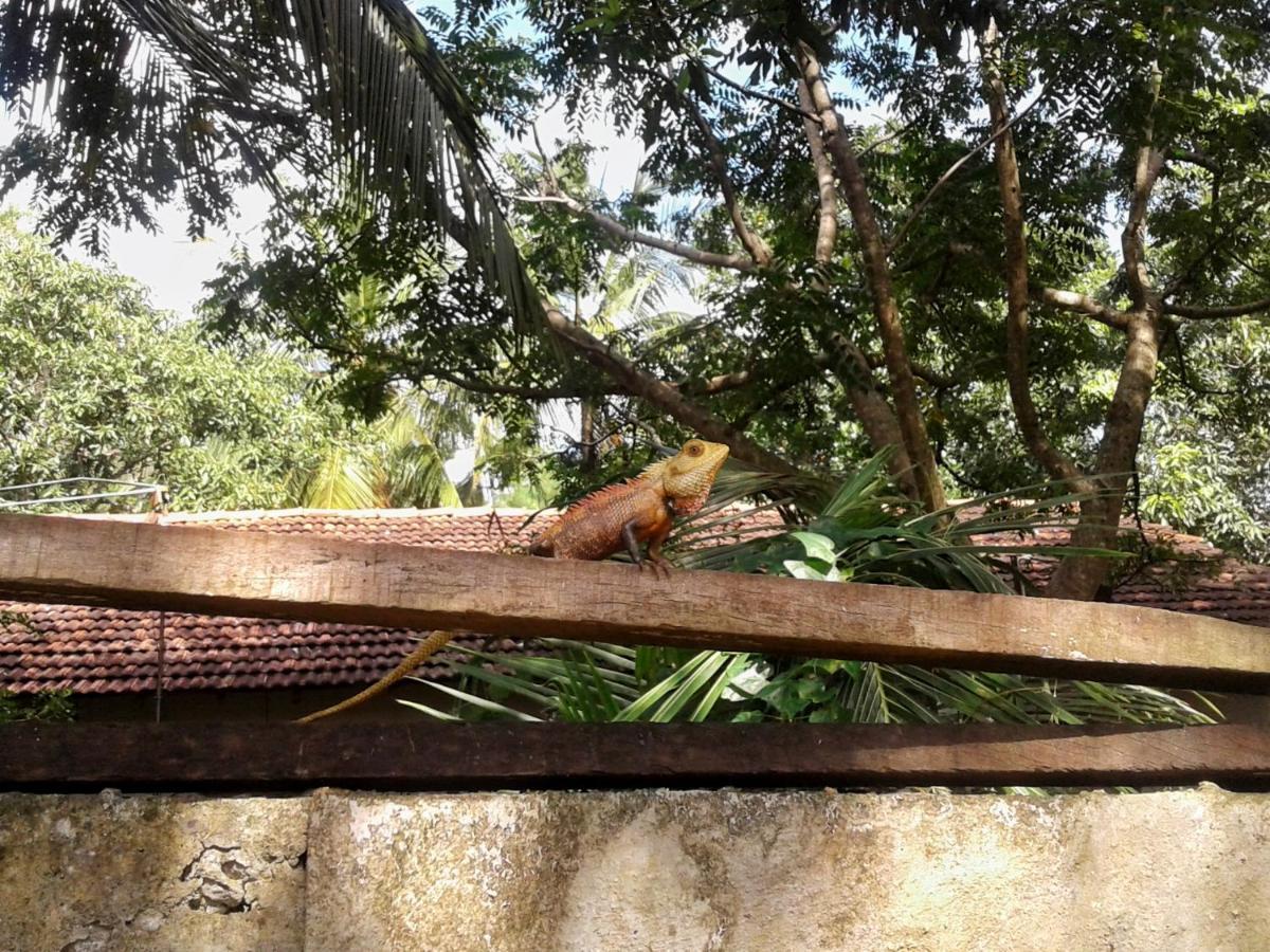 Hotel Nimjaya Udawalawe Eksteriør billede