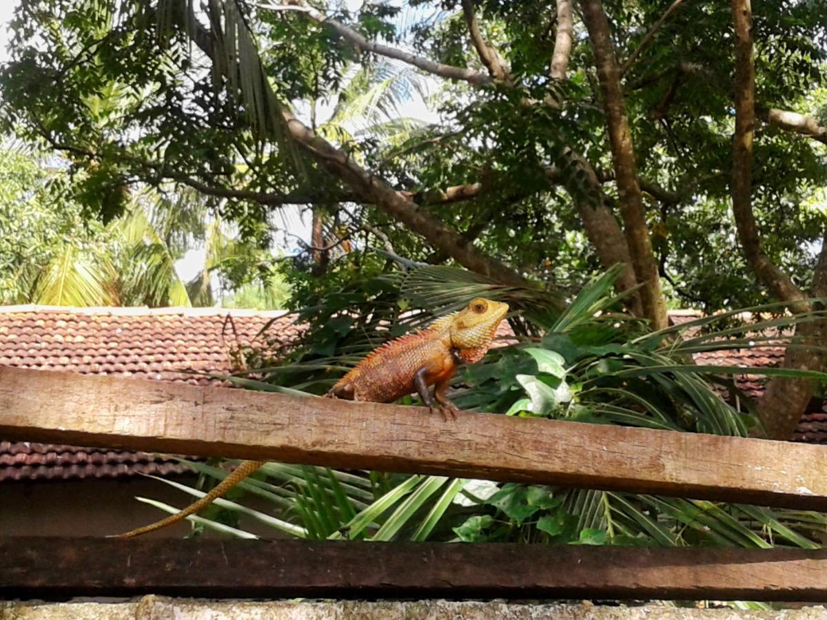 Hotel Nimjaya Udawalawe Eksteriør billede